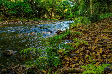 Cairns Homestead: A Peaceful Getaway - Australia Accommodation 3