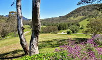 Book Capertee Accommodation Vacations Australia Accommodation Australia Accommodation