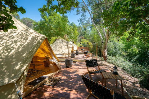Castlemaine Gardens Luxury Glamping - Australia Accommodation 0