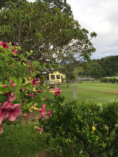 CedarBrae Country Stay - Australia Accommodation 2