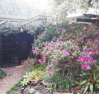 Charming country house close to Grafton - Australia Accommodation