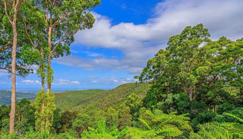 CLOUD 9 - Cliff Top Eagle Heights - Australia Accommodation 3
