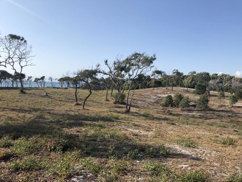 COONARR BEACH ( BUNDABERG )CAMPING - Australia Accommodation 2