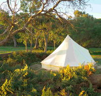Coonawarra Bush Holiday Park - Australia Accommodation