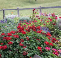 Country Mile Escape - Australia Accommodation