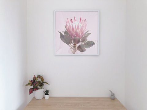 Cozy Private Room In Kingsford Near UNSW, Randwick2 - Australia Accommodation 2