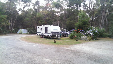 Crayfish Creek Van & Cabin Park - Australia Accommodation 0