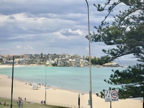 D'Luxe Designer Den Bondi-Ocean View Apartment - Australia Accommodation 1