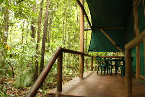 Daintree Crocodylus - Australia Accommodation 1