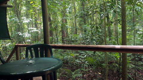 Daintree Crocodylus - Australia Accommodation 2
