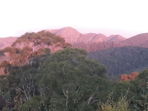 Day Dream Cottage - Australia Accommodation 2