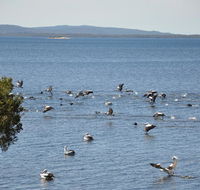 Denmark Waters BB - Australia Accommodation