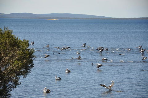 Denmark Waters B&B - Australia Accommodation 0