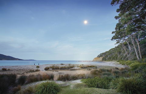Depot Beach Cabins - Australia Accommodation 1