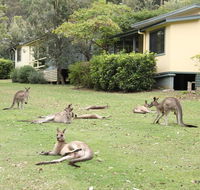 Depot Beach Cabins - Australia Accommodation