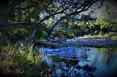 Eighteen Mile Cottage - Australia Accommodation 1