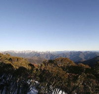 Elkhorn 7 - Australia Accommodation