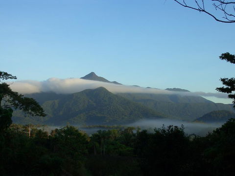Epiphyte B & B - Australia Accommodation 0