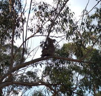 Escape to the Country - Enjoy the firepit or explore magical Bunya Mountains - Australia Accommodation