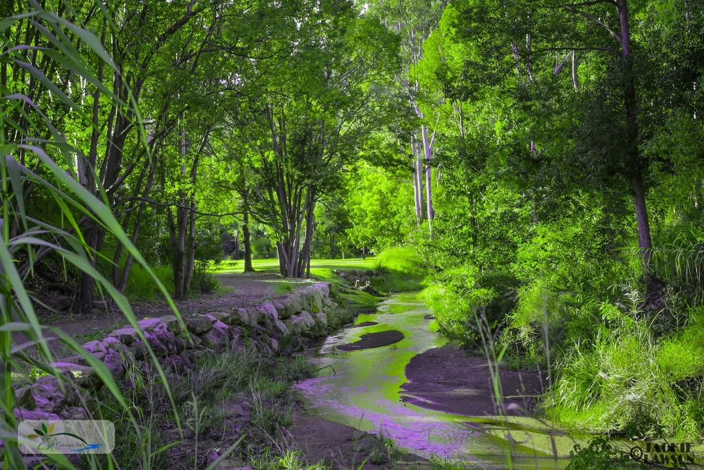 Coal Creek QLD Australia Accommodation