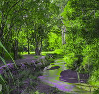 Esk Caravan Park  Rail Trail Motel - Australia Accommodation