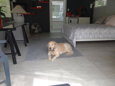 Eumundi Yacht Club B&B - Australia Accommodation 1