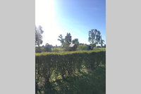 Book Benalla Accommodation Vacations Australia Accommodation Australia Accommodation