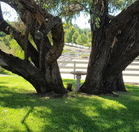 Farm Stay Studio - Australia Accommodation