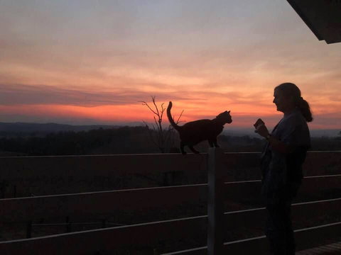 Farringdon Homestead - Australia Accommodation 1