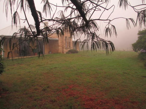 Ferndale B&B - Australia Accommodation 1