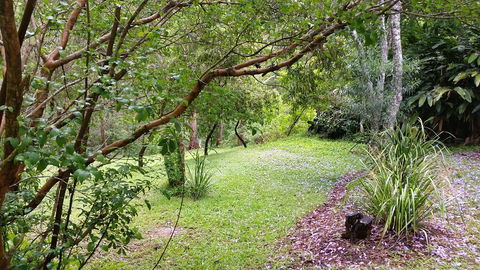 Forest View Bungalow - Australia Accommodation 1