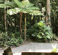 Forest Views Daintree - Australia Accommodation