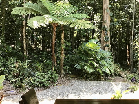 Forest Views Daintree - Australia Accommodation 0