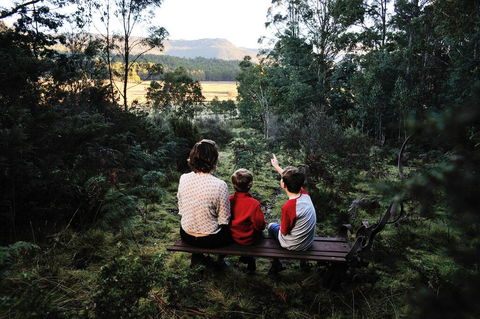 Forest Walks Lodge - Australia Accommodation 3