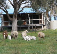 Gaddleen Grove Cottages - Australia Accommodation