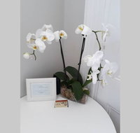 Gawler Heritage Accommodation - Australia Accommodation