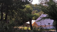 Book Zeehan Accommodation Vacations Australia Accommodation Australia Accommodation
