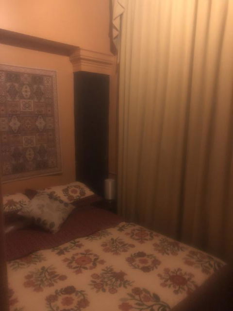 Globe Guesthouse - Australia Accommodation 2