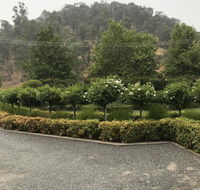 Guinevere - Australia Accommodation