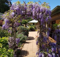 Gumtree House Montville - Australia Accommodation