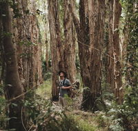 Habitat Noosa - Australia Accommodation