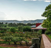 Hanging Tree Wines - Australia Accommodation