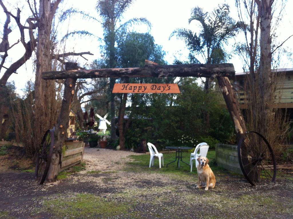 Cobberas VIC Australia Accommodation