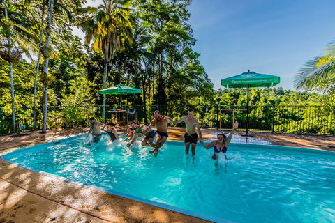 Jackaroo Treehouse Mission Beach - Australia Accommodation 1