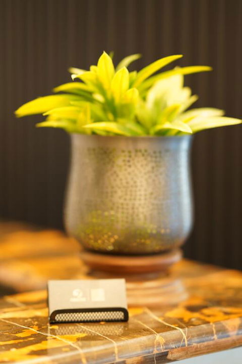 Jephson Hotel & Apartments - Australia Accommodation 3