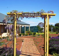 Lavendale Farmstay and Cottages York - Australia Accommodation