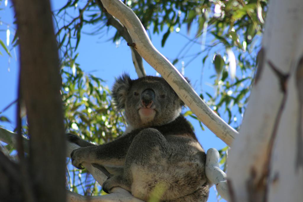 Vale Park SA Australia Accommodation