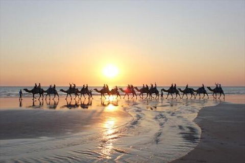 Luxury Executive Apartment At Broome Cable Beach - Australia Accommodation 1
