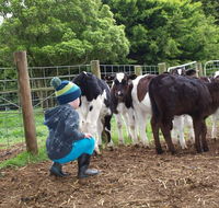 Manderley Park Farmstay BB - Australia Accommodation