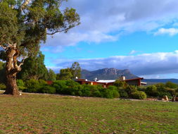 Book Wartook Accommodation Australia Accommodation Australia Accommodation